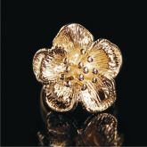 Anel Flor Dourada - 381